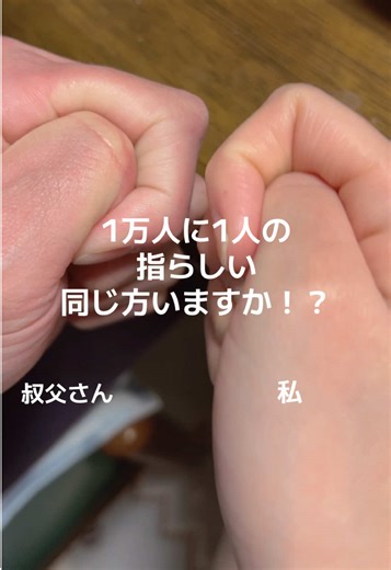 マムシ指の特徴と倍倍ファイトの魅力