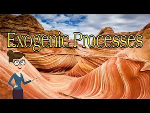 Exogenic Processes