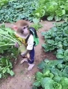 SmartInformation on Reels