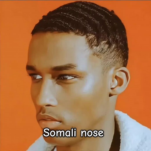 Understanding Somali Nose Types and Beauty Tips