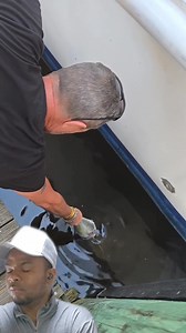 3.4M views · 37K reactions | About to feed a shark and see what happend ‍♂️‍♂️‍♂️. #fypシ゚viralシfypシ゚ #reelsviralシ #fypシ゚viralシ2024fyp #viralreelsfb #reelsfypシ #fypviralシ #fypシ゚ #reelsviral #reelsfyp #fypシ゚viralシfypシ゚viralシalシ ##reelsfb | Universal update | Facebook