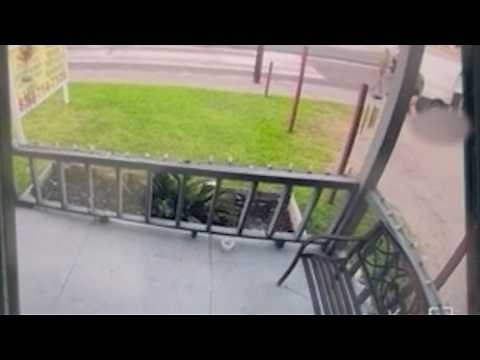 Team coverage | Man killed by ICE officer in Houston's East End
