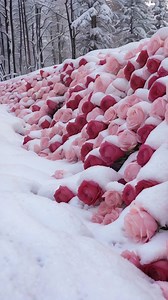 🌸💙 | Real Imagination