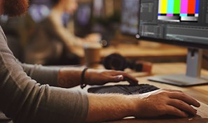 Organize, relink, and replace assets