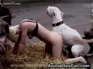 [ Zoo Sex Fam XXX ] Sexy farm girl getting pumped full of cum by a horny white pitbull