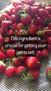 If you have ever tried to make homemade fruit jams and find their consistency is runny, you need to understand the role PECTIN plays in thr jam process! 🍓 And not all fruits are the same! Some are very low in natural pectin, and some are very high in natural pectin. For those fruits that contain a higher natural pectin content (like quince or sour apples) a lot of times they can set without the aided use of commercial pectin. For fruits that are naturally lower in pectin content, like strawberr