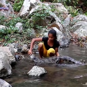 Amazing woman catch crocodile and cook | Catch and Cooked