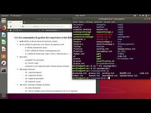 Les commandes de base sous linux