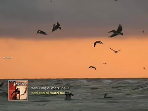 Addicted with Teri deewani 🖤😩 ©Atif | Nm Challenge And Task