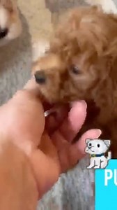 1.8K views · 91 reactions | Just tell’m Lockette sent you!! | Ricardo Lockette | Facebook