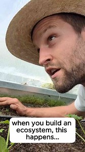 Why You Should Build Your Own Ecosystem