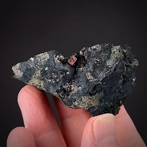 Phosphosiderite with Barbosalite and Pyrite - Bull Moose Mine, Custer, Custer Co., South Dakota, USA More info: https://www.irocks.com/minerals/specimen/52032 Superb sharp, gemmy, transparent pinkish red crystals of the rare species phosphosiderite, to 0.5 cm, perched on a dark phosphate matrix with black microcrystals of barbosalite and pyrite. A large crystal of this species from this locale. The specimen comes from the old Museum of Geology of the South Dakota School of Mines with an old meta