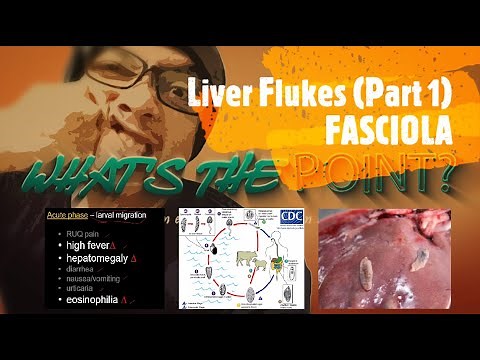 LIVER FLUKES (Part 1 of 2) - FASCIOLA