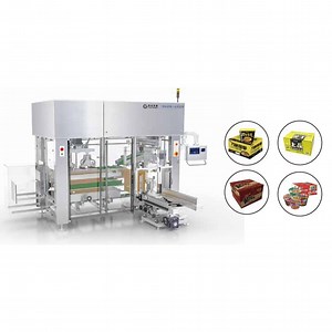 [Hot Item] Fully Automatic Box Packing Machine Beverage and Food Packaging Box Packing Machine
