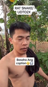 Philippine rat snake ohh gitawag natong udto2 ohh baga2 plss ayaw Na ninyo patya kai wala jud nay venom ug dili na sila ka patay ug tao. pasagdi ra ninyo kong maka sugat mo ana na bitin. maka tabang na sila sa humayan ug gulayan sa mga mananumay kai sila naga kaun sa mga ilaga.. search sa google para mas maka balo ta ninyo. paki share nalang pud ani na post para daghan maka balo. Is Philippine rat snake venomous? Rat snakes are not venomous. Rat snakes usually hunt and kill mice by biting with t