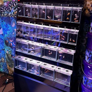 [Hot Item] Commercial Fish Filter Aquarium Multi Level Rack Metal Aquarium Filter Glass Rack