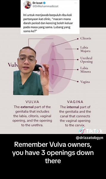 Understanding Vulva Anatomy: Functions and Issues Explained