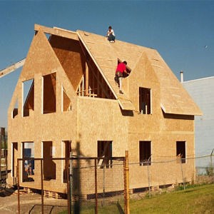 [Hot Item] OSB Flakeboard