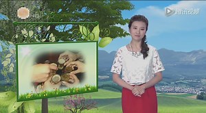 《医疗小贴士》《健康新概念》：喝酒为什么会上瘾