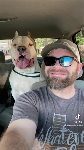 2.5K views · 114 reactions | We’re proud of our program and productions  | Wheeler Bullies | Facebook