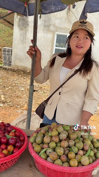 Cô gái bán mận Hà Giang, thiệt hại mưa đá
