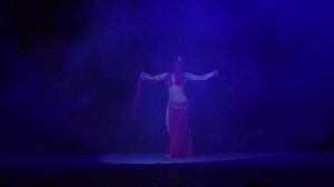 Anna Lonkina - Professional Ukrainian Bellydancer on Reels