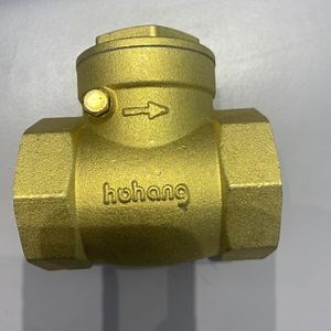 [Hot Item] Non-Return Brass Check Valve for Water with Custom Surface Finish