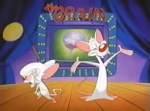 Pinky and the Brain