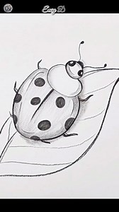 Easy drawing Ideas | Ladybug #drawing #pencilsketch | Drawing Book