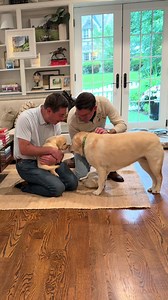 Welcome Home Georgie — Big Sister Reunion Moment