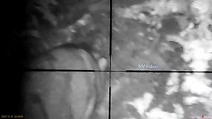 37K views · 755 reactions | part5 | Folker Hunter | Facebook