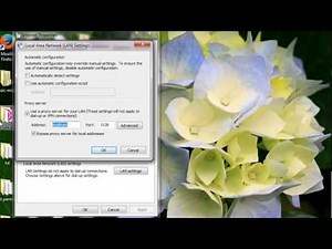Install and Tuning Squid Proxy Server for Windows