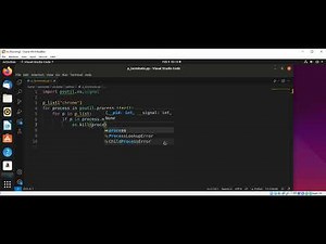 How to Terminate Processes in Python