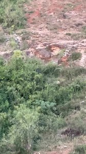 30K views · 586 reactions | Ze Bluetooth device has been connected successfully  | Martoh Muriithi | Facebook