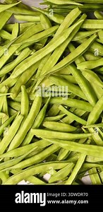 Top View of Fresh Gawar Ki Phalli (Cluster Beans) Green Vegetable Vertical Footage