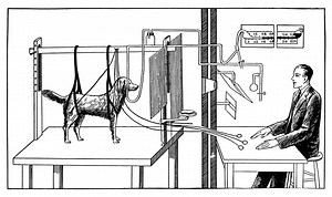 Conditionnement Classique / Opérant : Pavlov et Skinner