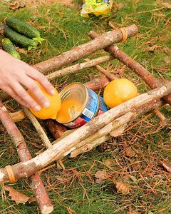 Food Stash in the Forest | Science, Tech and Universe
