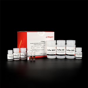[Hot Item] Magpure Ffpe DNA Kit Isolation Total DNA From Ffpe