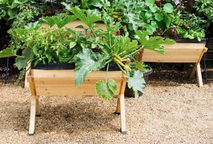 Planter Boxes for Growing Vegetables, Flowers & Herbs