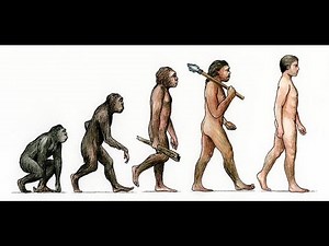 Ape to Man Documentary