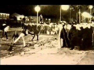 Cook Da Books - Piggie in the Middle 8 | Transalpino