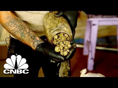 Black Market Marijuana: Big Business Of The Illegal Marijuana Industry | American Vice | CNBC Prime
