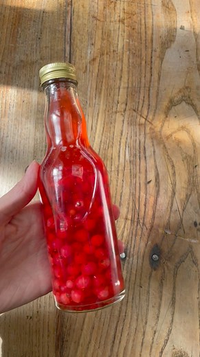 Une recette de vinaigre aux groseilles Les ingrédients : • 125 g de groseilles rouges • 200 ml de vinaigre blanc #VinaigreAuxGroseilles #RecetteVinaigre #Groseilles #VinaigreMaison #CuisineFaitMaison #GroseillesFraîches #Vinaigrette #RecetteDété #RecetteOriginale #VinaigreDeFruit #Gourmandise #CuisinerAvecAmour #VinaigreArtisanal #RecetteFacile #VinaigreFaitMaison #GroseilleRouge #CuisineCréative #RecetteDuJour #CuisinerEnFamille #GroseillesDuJardin #VinaigreFruité #CuisineGourmande #RecetteVégé