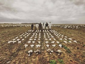 2019 SPRING SNOW GOOSE HUNTS! Arkansas and Dakota dates still available! Season is fast approaching call today to set your dates (701) 290-6582 or visit www.dirtybirdoutfitters.com | Dirty Bird Outfitters