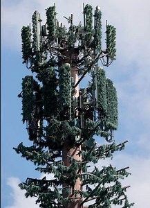 [Hot Item] Long-Lasting Value: Premium Bionic Communication Trees Telecommunication Tower Steel Structure Camouflaged Tower