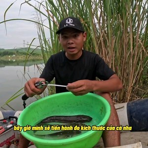 Giữ cân bằng sinh thái khi câu cá ! #lkhoa | L.k. Hoa