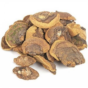 Ganoderma 90 Capsules Price In India