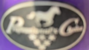 Our version of a Matching set 💜💜 Professional Choice 2x Cool Splint boot Ballistic Bell boot 😍 #professionalchoiceboots #cowboys #roping #splintboots #legprotection | Frontier Trailers & Roping Supply