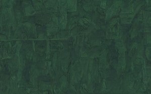 How do sea shells grow? [2025] | QAQooking.wiki