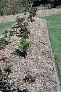 How To Cover A Garden With Plastic - Garden Guides